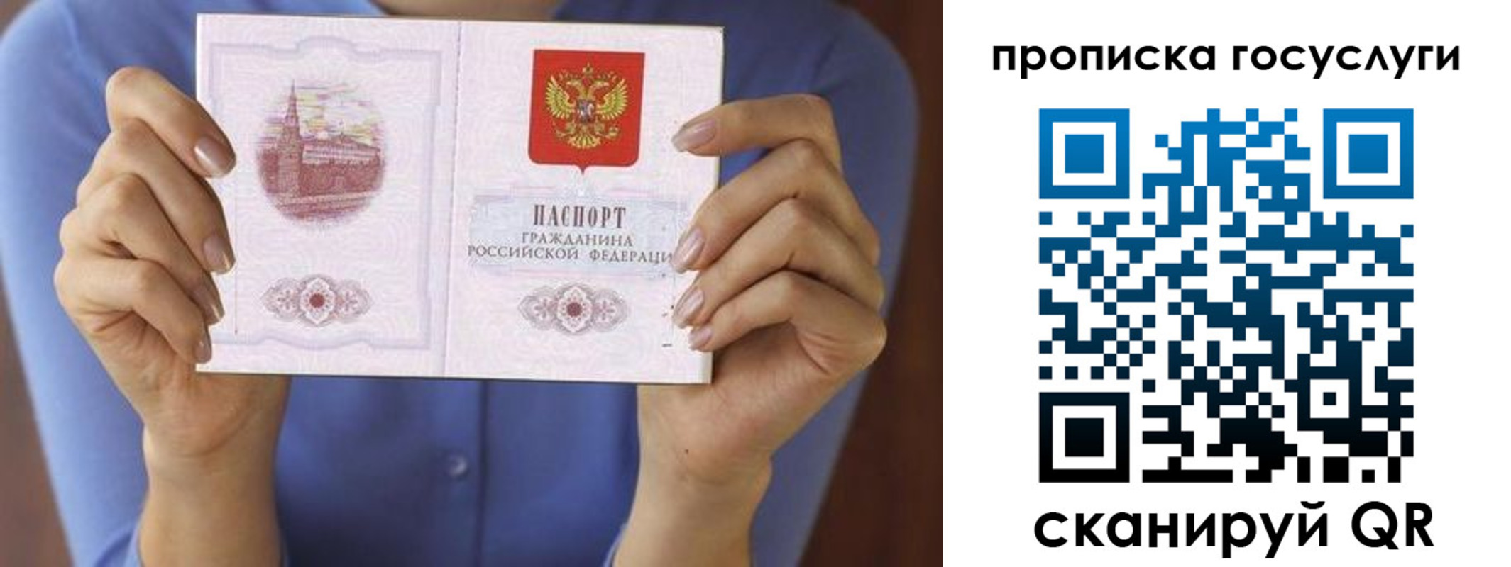 временная регистрация поиск в Светлограде